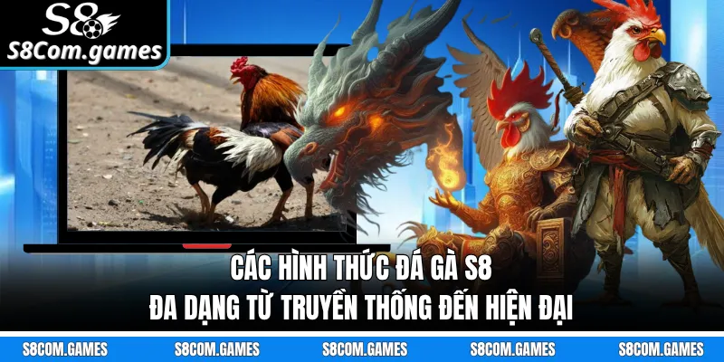 Các hình thức đá gà S8 đa dạng từ truyền thống đến hiện đại