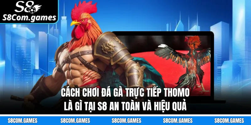 Cách chơi đá gà trực tiếp Thomo là gì tại S8 an toàn và hiệu quả