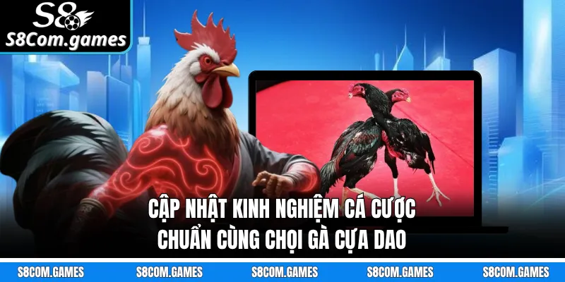 Cập nhật kinh nghiệm cá cược chuẩn cùng chọi gà cựa dao