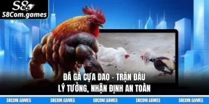 Đá Gà Cựa Dao - Trận Đấu Lý Tưởng, Nhận Định An Toàn
