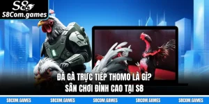 Đá Gà Trực Tiếp Thomo Là Gì? Sân Chơi Đỉnh Cao Tại S8