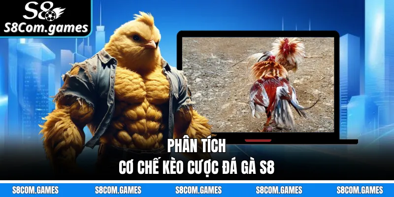 Phân tích cơ chế kèo cược đá gà S8