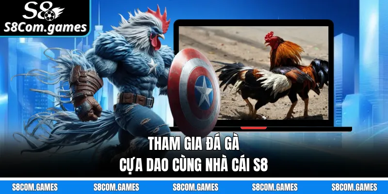 Tham gia đá gà cựa dao cùng nhà cái S8