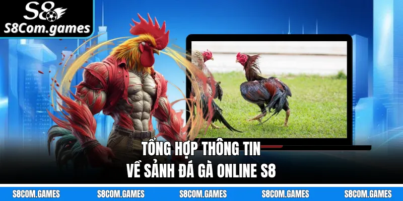 Tổng hợp thông tin về sảnh đá gà online S8
